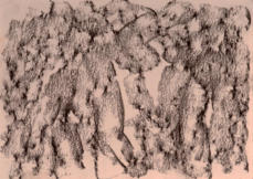 Rost 2, Kreide auf Papier, 34,5 x 44 cm